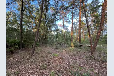 Tbd Twin Lakes Road, Interlachen, FL 32148 - Photo 5