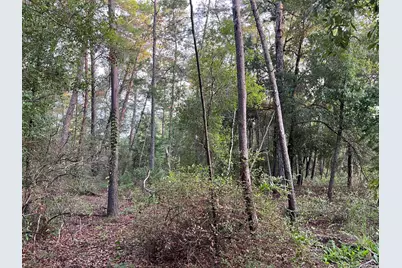 Tbd Twin Lakes Road, Interlachen, FL 32148 - Photo 9