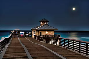 293 Old Meadow Way N, Palm Beach Gardens, FL 33418 - Photo 43