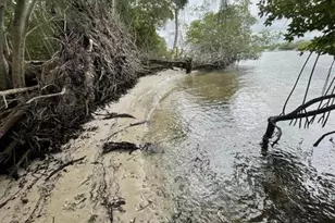 18200 49th Terrace N, Jupiter, FL 33458 - Photo 29