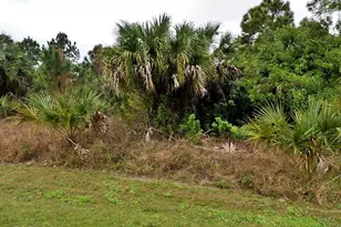 0 Dinsmore St, North Port, FL 34288 - Photo 1