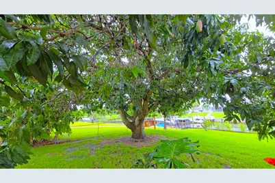 147 NE Naranja Avenue, Port Saint Lucie, FL 34983 - Photo 51