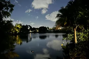 299 NW 10th Ct, Boca Raton, FL 33486 - Photo 43