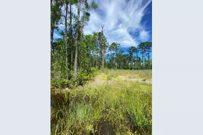 418 Gaillardia Drive, Lake Wales, FL  - Photo 5