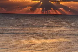 3000 N Ocean Dr, Singer Island, FL 33404 - Photo 13