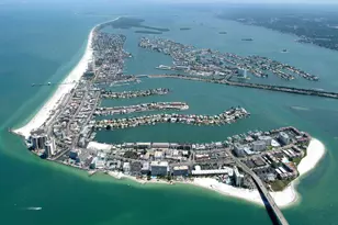 2348 Shelley St, Clearwater, FL 33765 - Photo 17