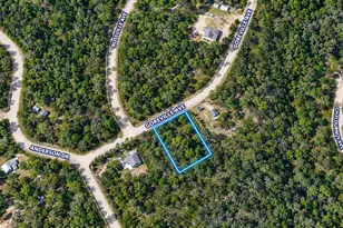 Tbd Goreville, Alford, FL 32420 - Photo 1