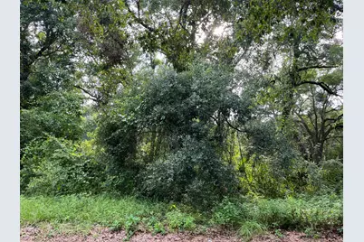 305 Milton Avenue, Interlachen, FL 32148 - Photo 7