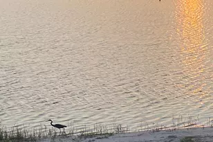 818 Sky Pine Way, Greenacres, FL 33415 - Photo 27