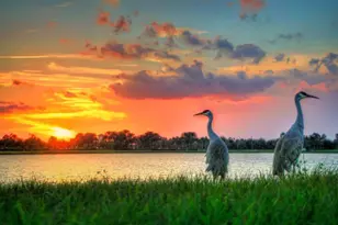 345 SW Becker Rd, Port Saint Lucie, FL 34953 - Photo 31