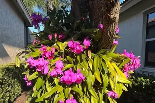 8820 First Tee Rd, Port Saint Lucie, FL 34986 - Photo 25