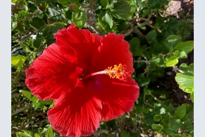 6 Royal Palm Way #310, Boca Raton, FL 33432 - Photo 27