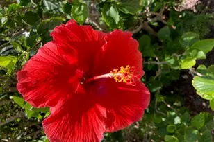 6 Royal Palm Way, Boca Raton, FL 33432 - Photo 27