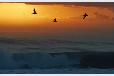 340 Horizons W #203, Boynton Beach, FL 33435 - Photo 45