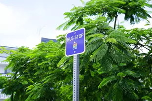 38 Keswick, Deerfield Beach, FL 33442 - Photo 13