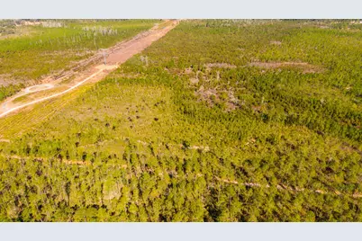 0000 NE 125th Ave, Fort Mc Coy, FL 32134 - Photo 1