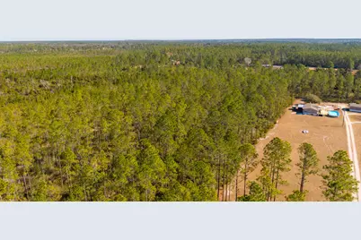 0000 NE 125th Ave, Fort Mc Coy, FL 32134 - Photo 5