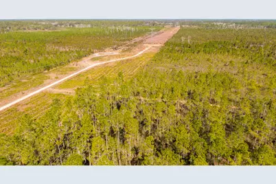 0000 NE 125th Ave, Fort Mc Coy, FL 32134 - Photo 3