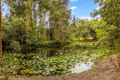 15884 North Road, Loxahatchee Groves, FL 33470 - Photo 31