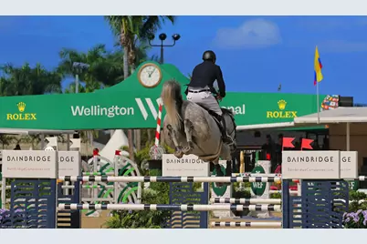 3382 Grand Prix Farms Drive N, Wellington, FL 33414 - Photo 71