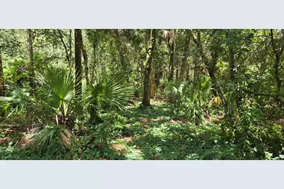 100 NW 38th Avenue, Okeechobee, FL 34972 - Photo 31