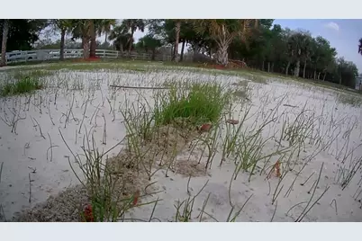 19374 NW 302, Okeechobee, FL 34972 - Photo 25