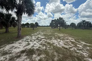 19374 NW 302, Okeechobee, FL 34972 - Photo 1