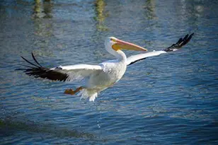 241 NW Toscane Tr, Port Saint Lucie, FL 34986 - Photo 69