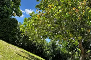 4320 NW 107th Ave, Coral Springs, FL 33065 - Photo 37