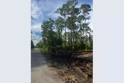2018 Canton Avenue, Alva, FL 33920 - Photo 5