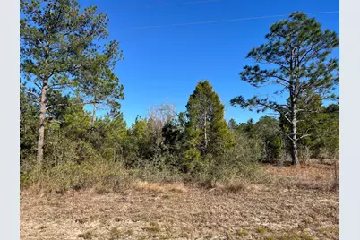 Tbd Fairview Road, Marianna, FL 32448 - Photo 1