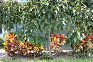 950 S Kanner Hwy, Stuart, FL 34994 - Photo 27