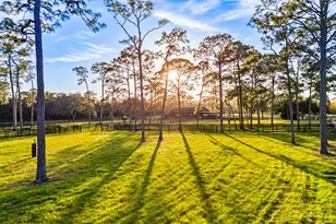 20000 SE Mack Dairy Road SE, Jupiter, FL 33478 - Photo 13