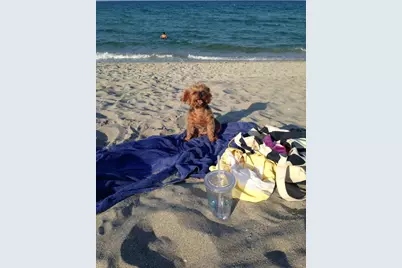 387 Prestwick Lane #1, Palm Beach Gardens, FL 33418 - Photo 25