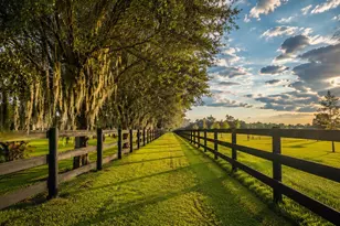 26209 SW Jockeys Run, Okeechobee, FL 34974 - Photo 13