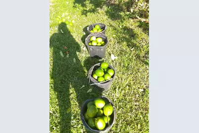 13660 Orange Grove Boulevard, The Acreage, FL 33411 - Photo 33