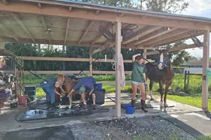 13660 Orange Grove Blvd, The Acreage, FL 33411 - Photo 23