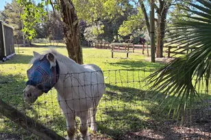 13660 Orange Grove Blvd, The Acreage, FL 33411 - Photo 25