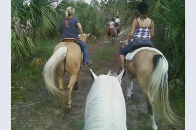 13660 Orange Grove Boulevard, The Acreage, FL 33411 - Photo 43