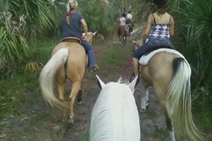 13660 Orange Grove Blvd, The Acreage, FL 33411 - Photo 43