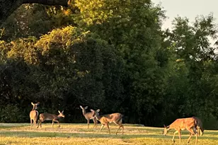 9182 SE Eldorado Way, Hobe Sound, FL 33455 - Photo 37
