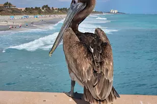 1501 Mizzenmast Way, Jupiter, FL 33477 - Photo 61