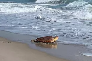 1501 Mizzenmast Way, Jupiter, FL 33477 - Photo 63