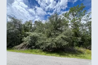 6252 N Cavalier Terrace, Citrus Springs, FL 34433 - Photo 1