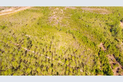 0000 NE 125th Ave, Fort Mc Coy, FL 32134 - Photo 1
