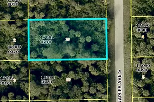 636 Naples Ave S, Lehigh Acres, FL 33974 - Photo 1