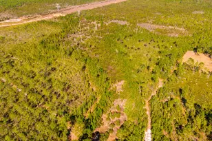 0000 NE 125th Ave, Fort Mc Coy, FL 32134 - Photo 1