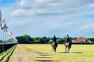 3900 Fieldview Way, Wellington, FL 33414 - Photo 9