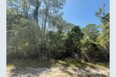 337 Palm Way, Georgetown, FL 32139 - Photo 1