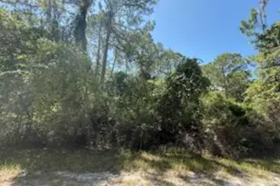 337 Palm Way, Georgetown, FL 32139 - Photo 1